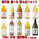 梅乃宿 リキュール 日本酒 720ml 6本 選べる 飲み比べセットあらごし梅酒 ゆず酒 あらごしもも あらごしみかん あらごしりんご あらごしれもん マンゴー ブラッドオレンジ ジンジャー 純米吟醸送料無料 梅の宿 フルータス 奈良県 飲み比べ