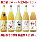 梅乃宿 リキュール 1800ml 6本 選べる 飲み比べセッ...