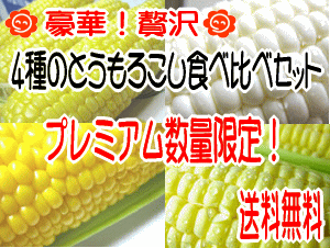 数量限定！プレミア北海道産とうもろこし4種　食べ比べ10本セット！生でも美味しいトウモロコシ♪送料無料！※大よその出荷時期は、8月中旬位〜収穫出来次第、順次発送となります。