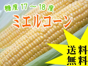 ミエルコーン（とうもろこし）10本！【北海道限定販売品種】産地直送！朝もぎ！生でも美味しいフルーツトウモロコシ【北海道産とうきび】≪黄色系≫【21％OFF】送料無料！※大よその出荷時期は、8月中旬位〜収穫出来次第、順次発送となります。