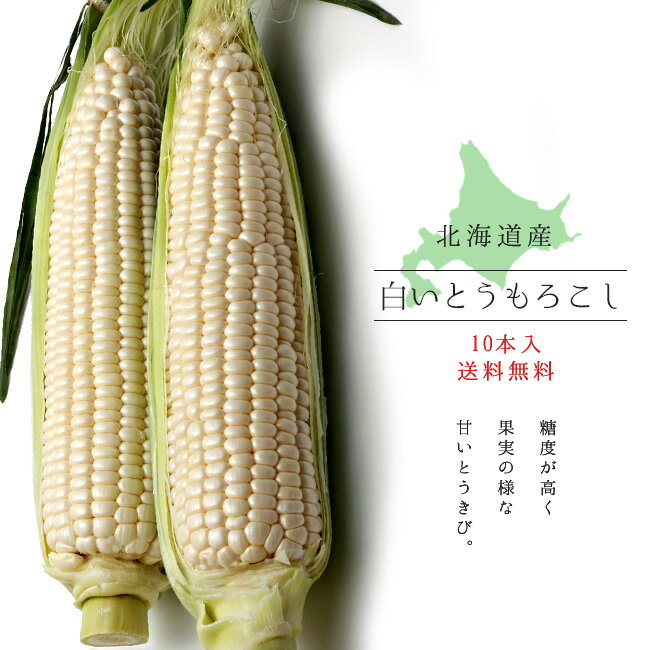 白いとうもろこし 北海道産直！朝もぎ、とうきび【10本】限定販売！生でも美味しいフルーツトウモロコシ♪産地直送トウキビ！送料無料※只今、発送中！