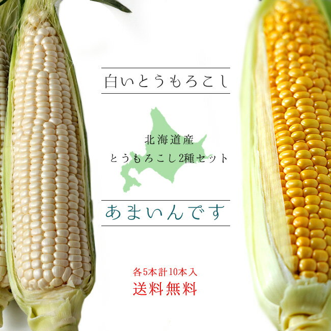 あまいんです&白いとうもろこし【各5本、計10本】とうもろこし2種セットほっかいどうから産地直送【朝もぎとうきび】糖度の高いトウキビ 生でも美味しい北海道産フルーツトウモロコシ【スイーツコーン】※只今、発送中！