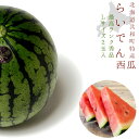 らいでんスイカ 最高ランク秀品 L 2玉入り≪9~11kgすいか≫【来伝粋夏】送料無料!※7月中旬頃より収穫次第順次発送します!