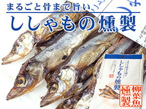 ししゃもの燻製 38g 【旨みがギュッと凝縮されたシシャモのクンセイ 珍味】まるごと骨まで旨い柳葉魚のくんせい