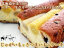 じゃがいもとさつまいものケーキ【北海道小麦100%】バター、生クリームなど北海道の素材を使った≪かわいや≫さんのこだわりのケーキ