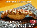 むきボイルしゃこ10本メス【北海道小樽産 石狩湾】殻剥き済みのしゃこ ガザエビ【北海道産蝦蛄】浜茹で ボイルシャコ 小樽市前浜産【釜茹で】しゃこ おたる