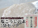 塩こうじの素 100g×5袋セット お買い得!!≪発酵生活≫今話題のしおこうじの素!!国内産米こうじと天日塩を使用した塩麹の素≪塩麹は、生きた乳酸菌や酵母菌、酵素を身体に取り入れられる発酵食品です≫