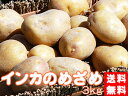 インカのめざめ!3kg(サイズ無選別)【送料無料】北海道産地直送 いんかの目覚め 栗
