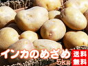 インカのめざめ!お得用!5kg(サイズ無選別)【送料無料】北海道産地直送 いんかの目