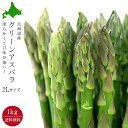 グリーンアスパラガス【2L、1kg】アスパラ送料無料!北海道...