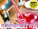 ブルーベリージュース1L×12本セット【北海道産BLUEBERRY使用】化学調味料・人工着色料・合成保存料等一切未使用の清涼飲料水【送料無料】