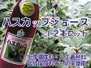 ハスカップジュース1L×12本セット【北海道産はすかっぷ使用】化学調味料・人工着色料・合成保存料等一切未使用のジュース【送料無料】