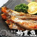 本ししゃもオス30尾【北海道産本柳葉魚】脂がのり身の引締った...