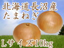 ¶Ì¤Í¤®¡ÚL¥µ¥¤¥º¡Û10kg Ë̳¤Æ»»º¤¿¤Þ¤Í¤®¢ãË̤â¤ß¤¸¤Ê¤É¢ä¶ÌǬ ¥¿¥Þ¥Í¥® Ë̳¤Æ»Ä¹¾Â»º¶Ì¤Í¤®¡ÚÁ÷ÎÁ̵ÎÁ¡Û¢¨Âþº£¡¢È¯Á÷Ãæ¡ª