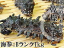 乾燥ナマコB級品1kg【Bランク】北海道産乾燥なまこ 金ん子...