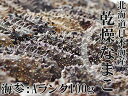 乾燥ナマコA級品100g【Aランク】北海道産乾燥なまこ 金ん...