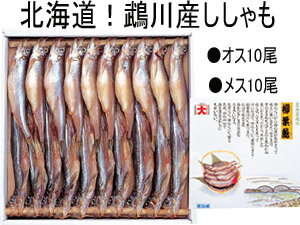 北海道鵡川産ししゃもA　オス10尾、メス10尾【化粧箱入】これが本物！ふっくら柔らかコクが違う！