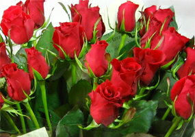 ǰڤʿͤˡڥɤοۤ鯤£ʪХβ«ե꡼祤40ܤ̵Gift