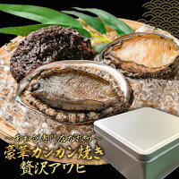 【期間限定!半額以下9,980円→4,980円】 豪華カンカン焼き 贅沢アワビ 8個入り 活 カンカン焼き 蝦夷 あわび 蝦夷あわび 蝦夷アワビ 送料無料 アワビ 鮑 活アワビ 活あわび バーベキュー bbQ 海鮮 バーベキューセット 海鮮セット 詰め合わせ 海鮮バーベキュー お取り寄せ
