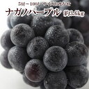 ナガノパープル 約3.6kg 送料無料 長野県産 5~10房 サイズおまかせ 9月上旬~10月上旬にかけて発送 日本グルメ