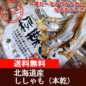 【送料無料】北海道産ししゃも(本乾)60g 北海道！！！【北海道産 シシャモ/北海道産 ししゃも/ほっかいどう産/広尾(ひろお)加工/シシャモ/干し/くんせい】