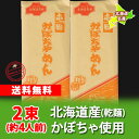 送料無料 うどん 乾麺 北海道 かぼちゃ 送料無料 北海道の...