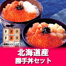 【北海道 海鮮丼 送料無料】北海道産 勝手丼 セット【海鮮丼セット】