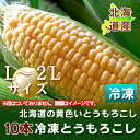 【とうもろこし】 北海道産とうもろこし とうきび 10本北海...