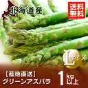 【送料無料】☆おまけ付き☆北海道産 【グリーンアスパラ】ハウス物【Lサイズ 1kg以上】北海道の旬 アスパラ 【5月から発送開始】