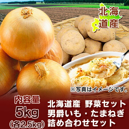 【北海道 じゃがいも 送料無料 男爵いも】【野菜セット 送料無料】北海道産の【男爵いも た…...:kitakuranohatake:10000611