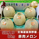 【北海道 メロン 富良野メロン 赤肉】 北海道産の富良野メロ...