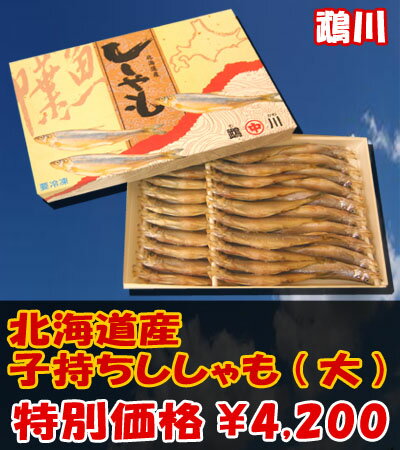 鵡川ししゃも！北海道！！！【北海道産シシャモ・北海道産ししゃも】北海道産　鵡川(むかわ)加工　子持ち シシャモ　30尾・化粧箱入り　きたくら特価【\4,200】