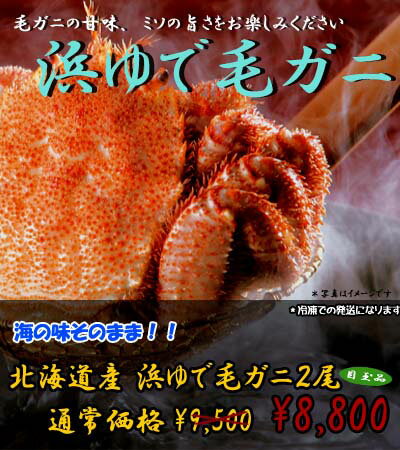 【北海道産 毛ガニ】　北海道で水揚げされた　北海道産 【毛ガニ】　浜ゆで毛がにを2尾で合計約1.1kg　きたくら特価【\8,800】