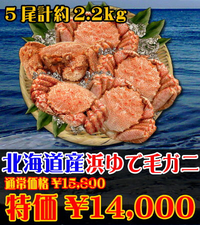 【北海道産】浜ゆで毛ガニ 北海道産の【浜ゆで毛ガニ】をお届け！北海道で水揚げされた【浜ゆで】 毛ガニ5尾 合計約2.2kg　【カニ】【蟹】【かに】【毛ガニ】【毛蟹】【浜ゆで 毛ガニ】北海道 オホーツク海の前浜で揚がった毛ガニを即浜茹し即冷凍した蟹を自然解凍で美味しく毛がにをお届けします！