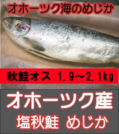 【鮭】 【新巻鮭 鮭 めじか】　オス鮭 1本・約2.0〜2.5kg　【格安】にて大放出！化粧箱付格安セール！高級ブランド 【新巻鮭 鮭 めじか】 【格安】にて大放出！