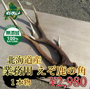 【北海道産】エゾシカ/鹿 角 まるごと1本 業務用 用途自由 バラ売り【無添加】