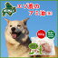 【新商品:冷凍】 北海道産エゾ鹿のアミ脂 100g 高たんぱく質&低脂肪・低カロリー 【無添加/えぞ鹿肉/エゾシカ肉/シカ肉/ジビエ/ドックフード/犬用おやつ/犬のおやつ/犬のオヤツ/いぬのおやつ/高齢犬/国産】 【ペット用品】