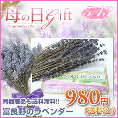 遅れてごめん。母の日ギフト　箱入り富良野ラベンダー（ドライフラワー）【送料無料】ラッピングつきギフトに最適！このラベンダーと一緒に買えば送料無料