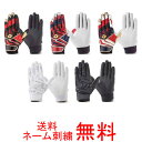【ネーム刺繍無料】ディマリニ バッティング手袋 両手用 WTABG07【送料無料/野球用品】