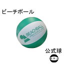 ビーチボール 公認球【バレーボール/試合用】