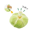 アーネスト キャベツ芯取リ器( キッチンブランチ )