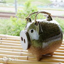 蚊取り豚 伊賀釉【普通サイズ】..-蚊取り線香入れ/蚊取器/蚊取り器/線香ホルダー/蚊遣り 蚊やり かやり 萬古焼/ばんこ焼 【HLS_DU】 業務用食器【jgiqq99】