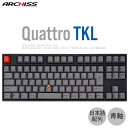 ARCHISS Quattro TKL 日本語配列 91キー メカニカル テンキーレス キーボード 静電容量式ポインティングスティック搭載 CHERRY MX 青軸 昇華印字 黒/グレイ # AS-KBQ91/CGBA アーキス (キーボード)