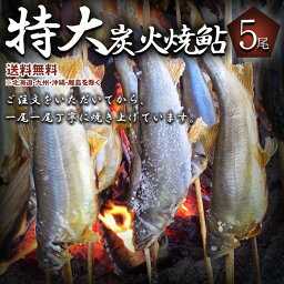 喜連川湧水育ち 鮎☆ 炭火焼 特大 鮎 5尾入り 通常サイズの1.5倍以上！！【巨大 あゆ アユ 通販 販売 塩焼き シーフード おかず おつまみ お魚 魚 川魚 焼き魚 焼魚 お惣菜 お弁当 バーベキュー 海鮮 食材 魚介 魚介類】05P05Nov16