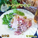 【あす楽対応】ソーセージサラダ【マリネ】【ピクルス】【オニオンスライス】【RCP】【新生活】