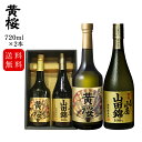 【送料無料】 日本酒 飲み比べ 華祥風 大吟醸 黄桜&山廃仕込み特別純米酒 720ml×2本 山田錦 ギフト 純米酒 贈り物 贈答 飲み比べセット 清酒 お酒 誕生日 プレゼント 詰め合わせ 京都 伏見 地酒 伏水蔵 お返し 母の日