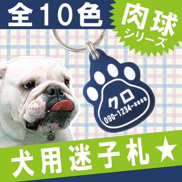 迷子札 犬 名入れ 名前入り プレゼント 名入り ギフト ペット 【 犬用 迷子札 】 送料無料 ペット・ペットグッズ 犬用品 首輪・胴輪・リード チャーム・迷子札 名札 贈り物 ペット用品 ハーネス 愛犬 犬 小型犬 中型犬 首輪 迷子 迷子札・ネームタグ 敬老の日:名入れギフト・プレゼント きざむ