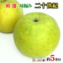 9月下旬発送 特選 二十世紀 梨 減農薬 長野県産 5キロ
