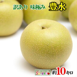 本日限定10%OFF 　9月上旬〜中旬　豊水　訳あり <strong>梨</strong> 減農薬 長野県産　10キロ　レビューを書いたら200円クーポン