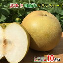 お買い物マラソン限定 10%OFF 8月中旬発送 朝どれ サザンスイート 訳あり 梨 減農薬 長野県産 10キロ レビューを書いたら200円クーポン